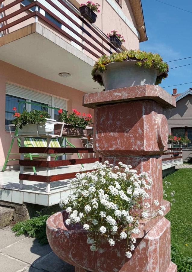 Apartman Andelina Vrnjačka Banja Exterior foto