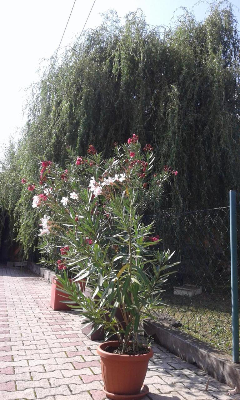 Apartman Andelina Vrnjačka Banja Exterior foto